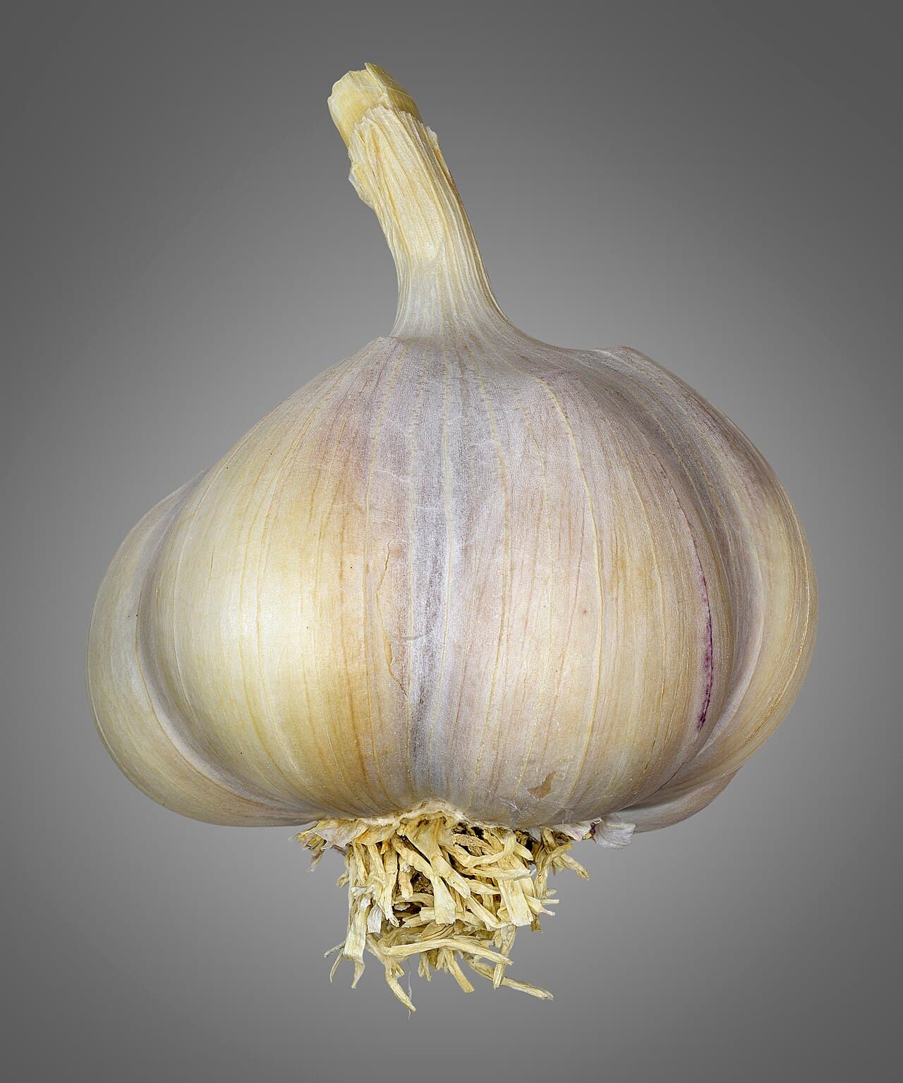 Preserved Garlic In Extra Virgin Olive Oil